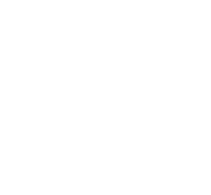 SEO Consultant of the year award